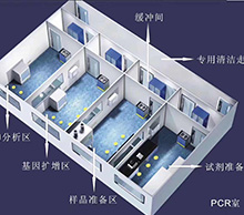 PCR实验室公司